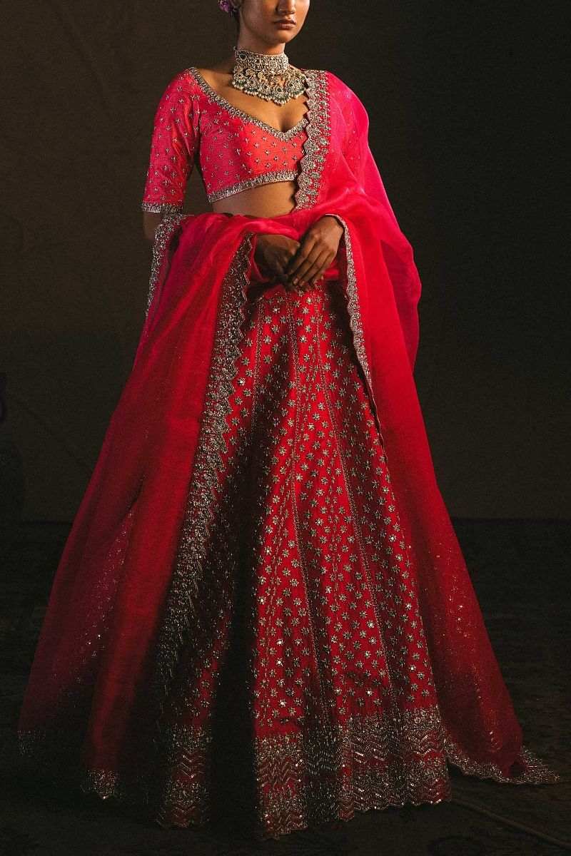 Buy Dainty Motifs Pink Embroidered Lehenga Set by Anushree Reddy