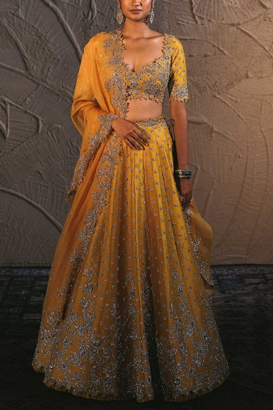 Shop Anushree Reddy Designer Lehengas Sarees and Dresses Aashni